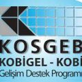KOSGEB KOBİGEL 2022-2023 Çağrısına çıktı.
